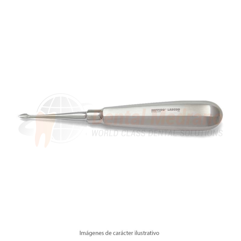 ELEVADOR #11B-BERNARD PARA RAICES – Zeffiro