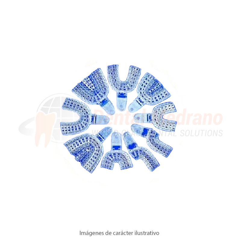 CUBETA PRESIDENT SURTIDO x9