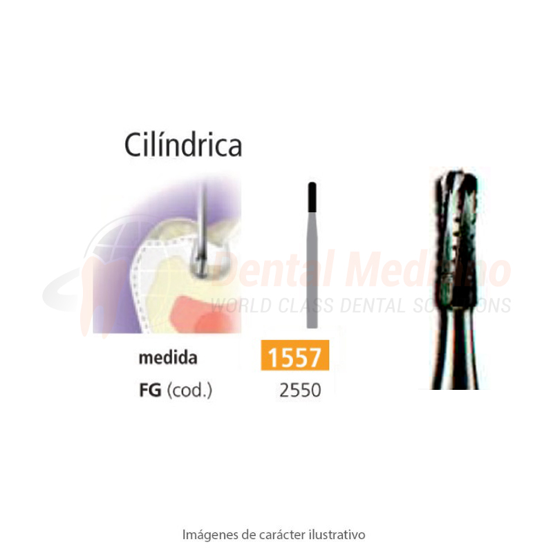 FRESA FG 1557 CILINDRICA DENT ROMA – EASYDENT