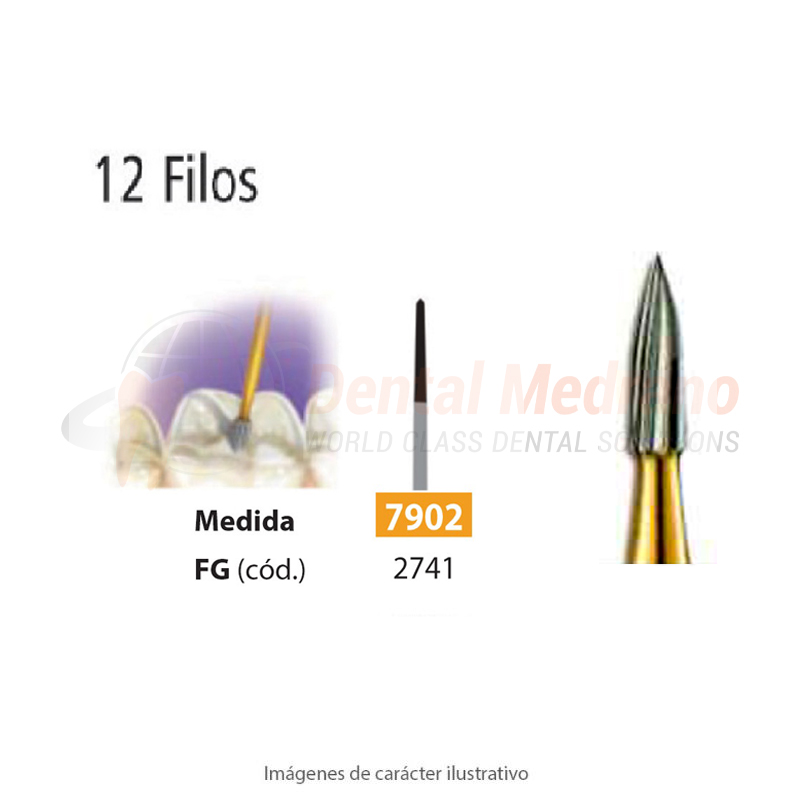 Fresa carburo FG12Filos 7902 aguja 010 L4.1mm Easy