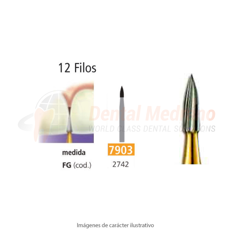 Fresa carburo FG12Filos 7903 aguja 012 L4.1mm Easy
