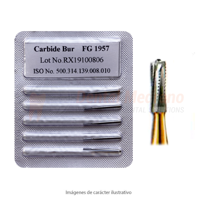 Fresa corte corona FG1957 cilindrica roma microden