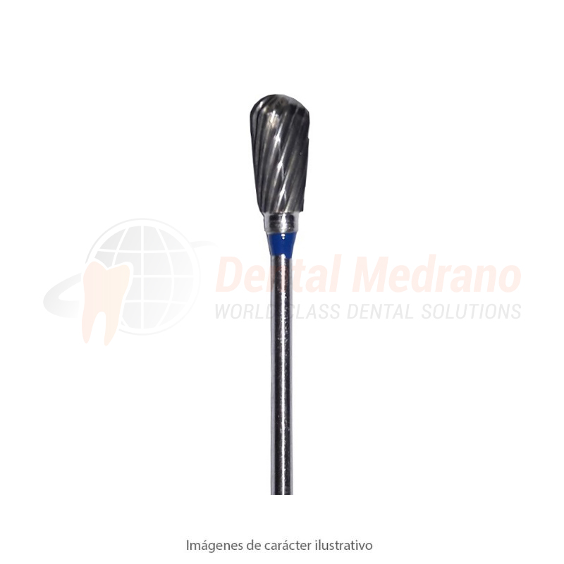 FRESON 53A REGULAR - PERA AZUL