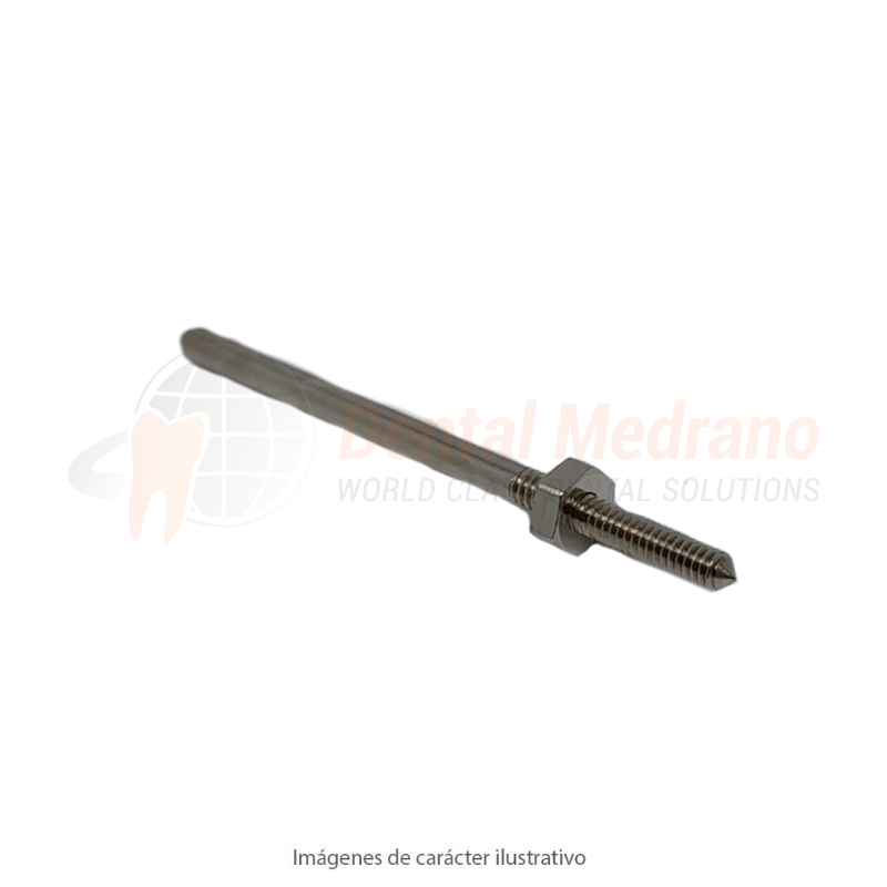 MANDRIL PM Espiral cilindrico para goma punta Dens