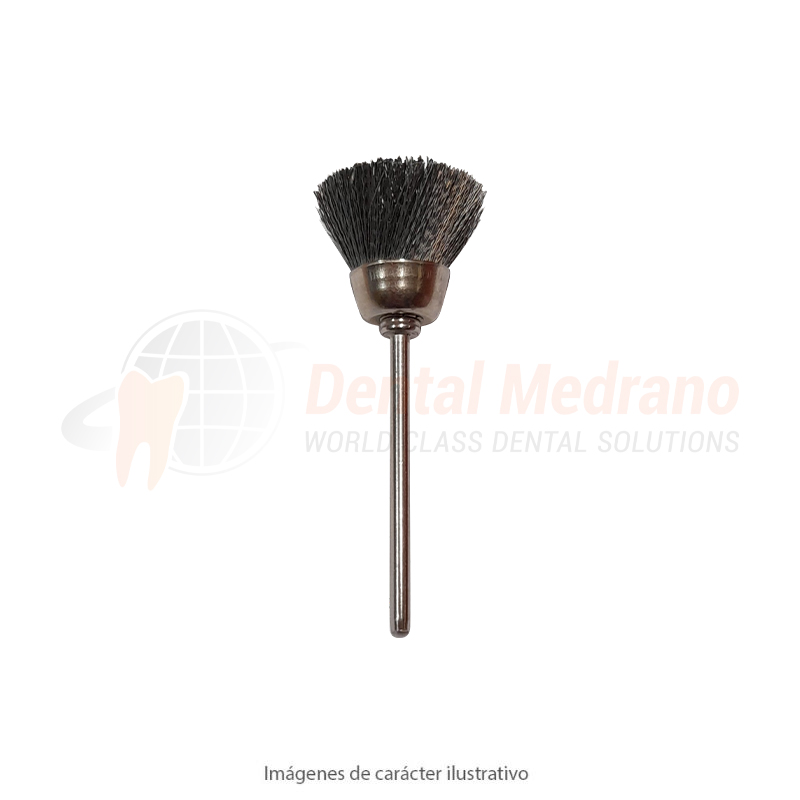 CEPILLO COPA PM Acero Easydent 15-10036 c/u