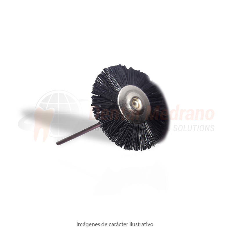 CEPILLO DISCO PM 22mm CERDA negra dura PBH22B ex15