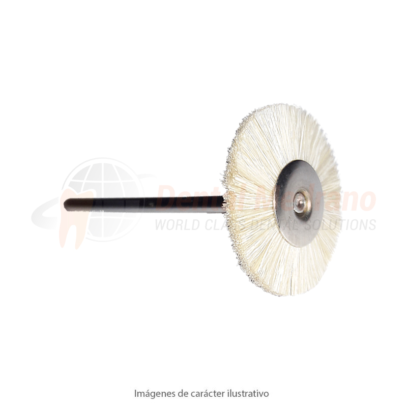 CEPILLO DISCO PM 22mm CERDA blanca suave H22W 15-3