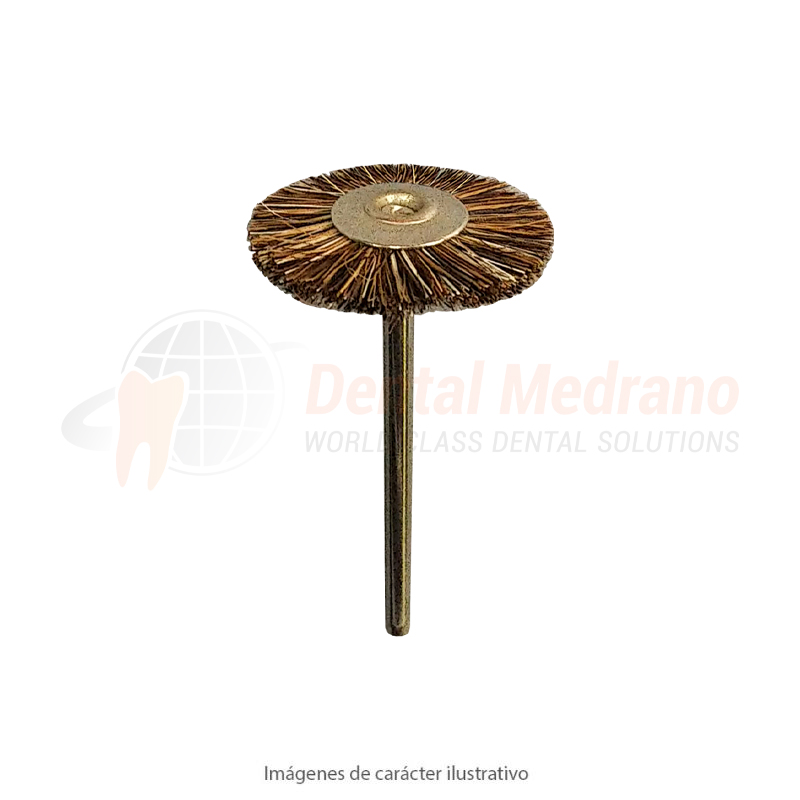 CEPILLO DISCO PM 22mm CERDA horse hair c/u 15-3000