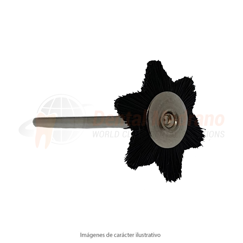 CEPILLO DISCO PM 22mm ESTRELLA cerda negra ex15-04