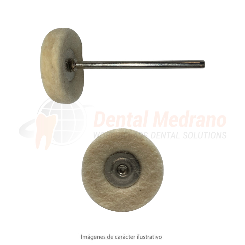 CEPILLO RUEDA PM Badana 22x5mm Lana medio ex15-048