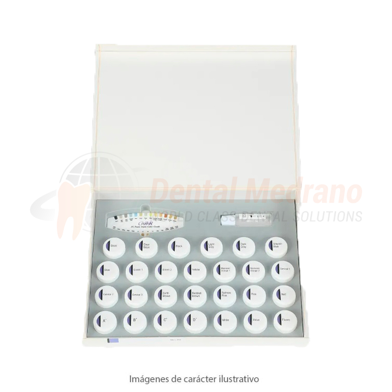 Pigmento CZR FC PasteStain Full Kit 104-5590 x28 f