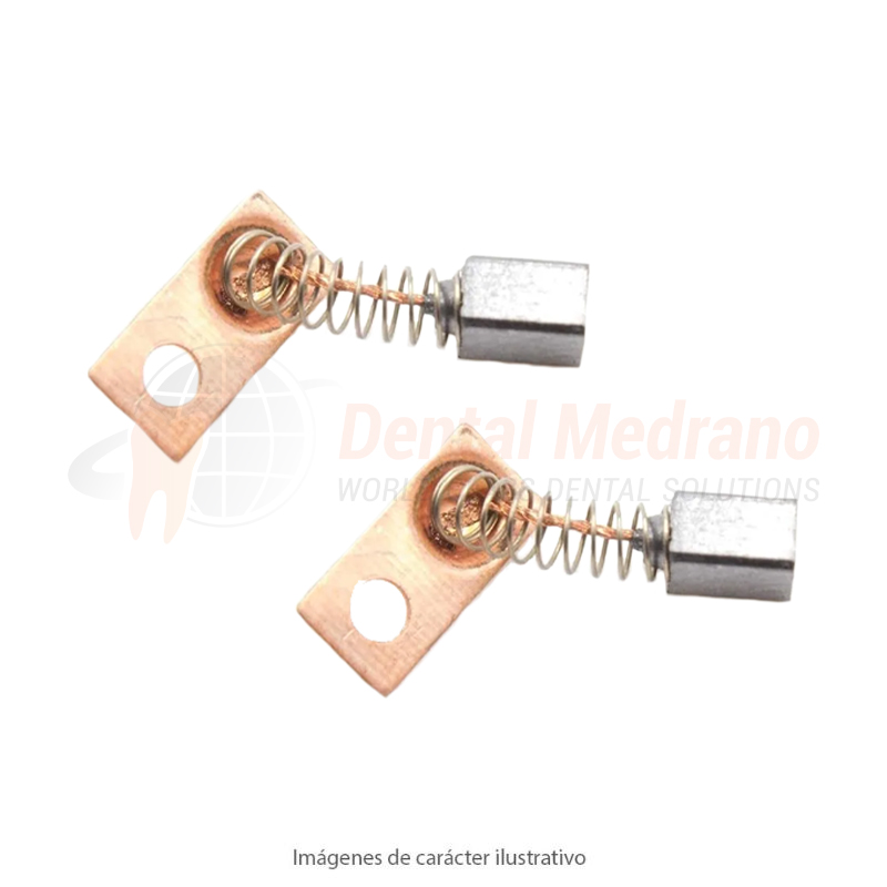 Carbones motor Marathon Juego x2