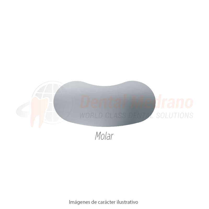 Matriz Polydentia QUICKMAT Flex Molar 0.03×6.4mm