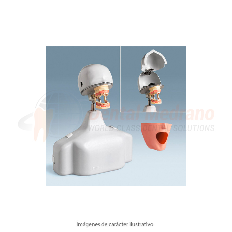 Frasaco Cabeza+Torso PK-1TSE completo