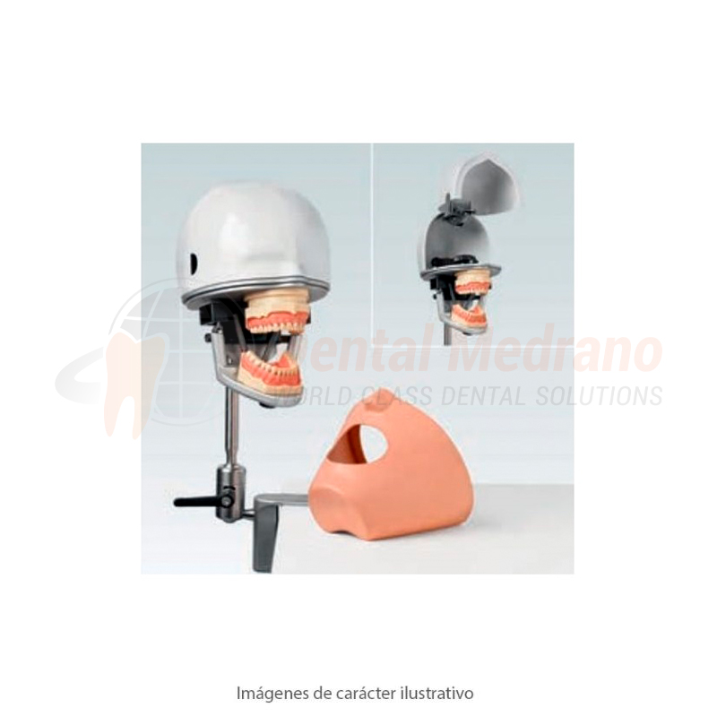 Frasaco Cabeza PK-2PT completa c/articulador