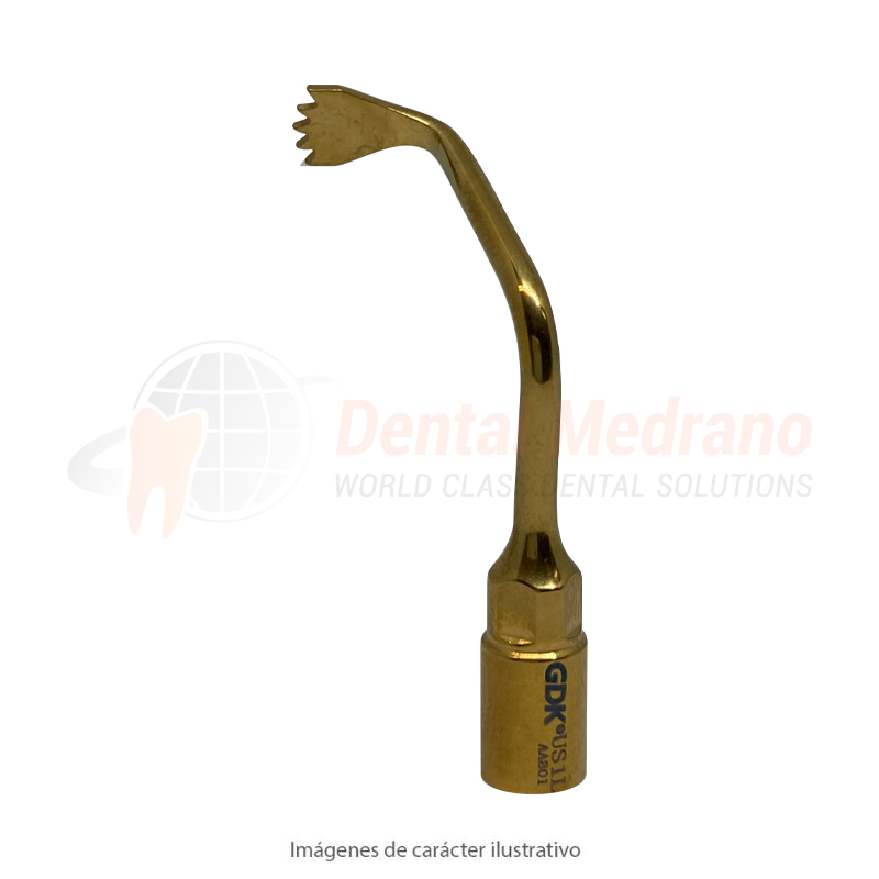 Inserto Piezo Surgy US1L