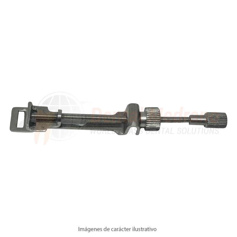 PORTA MATRIZ recto ivory 7mm S3587 PS 786-1055